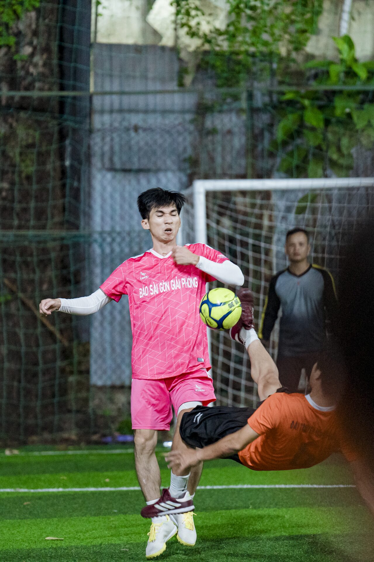 Ảnh 11 trên 812